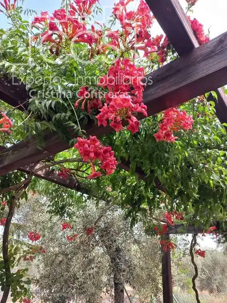 Jardín de Finca rústica en venta en Pilas con Aire acondicionado, Terraza y Trastero