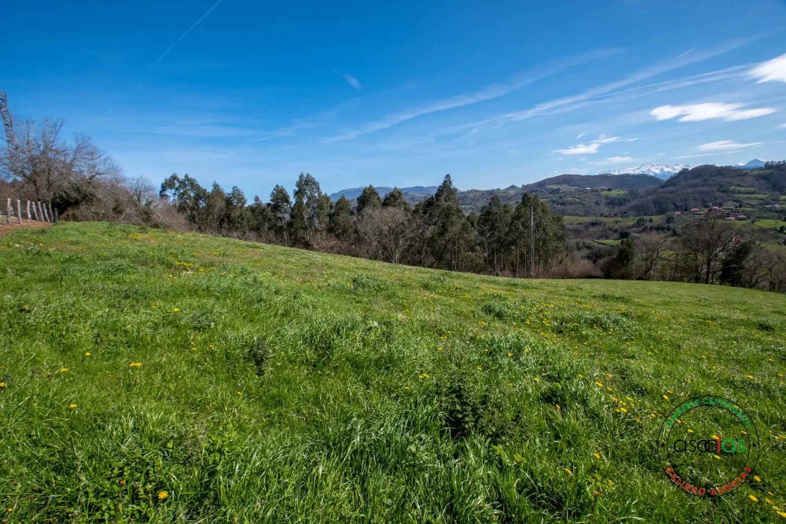 Terreno rustico in vendita a Cabranes - Naveda, imagen 15