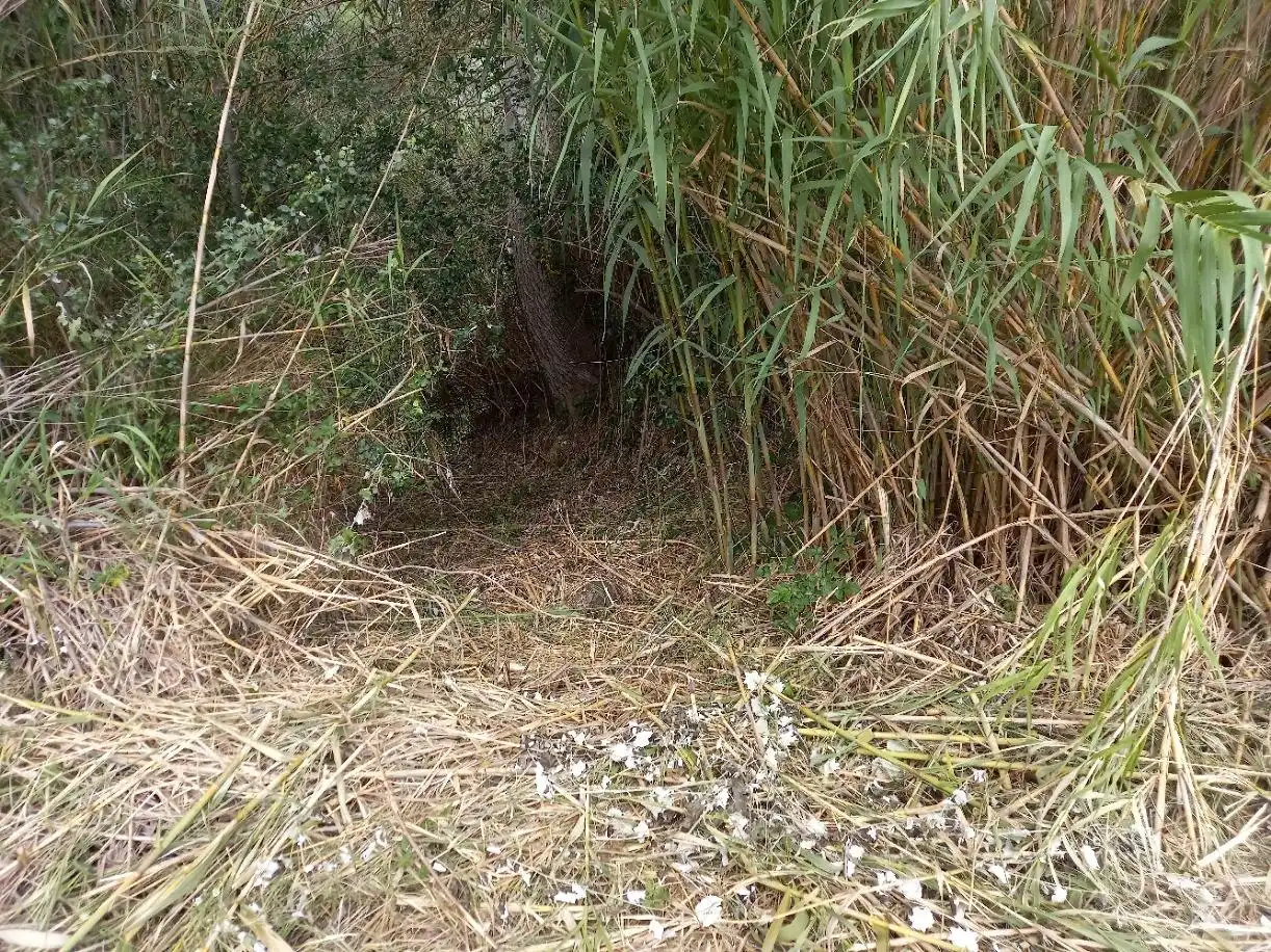 Terrenys i solars en venda a Miravet, imagen 19