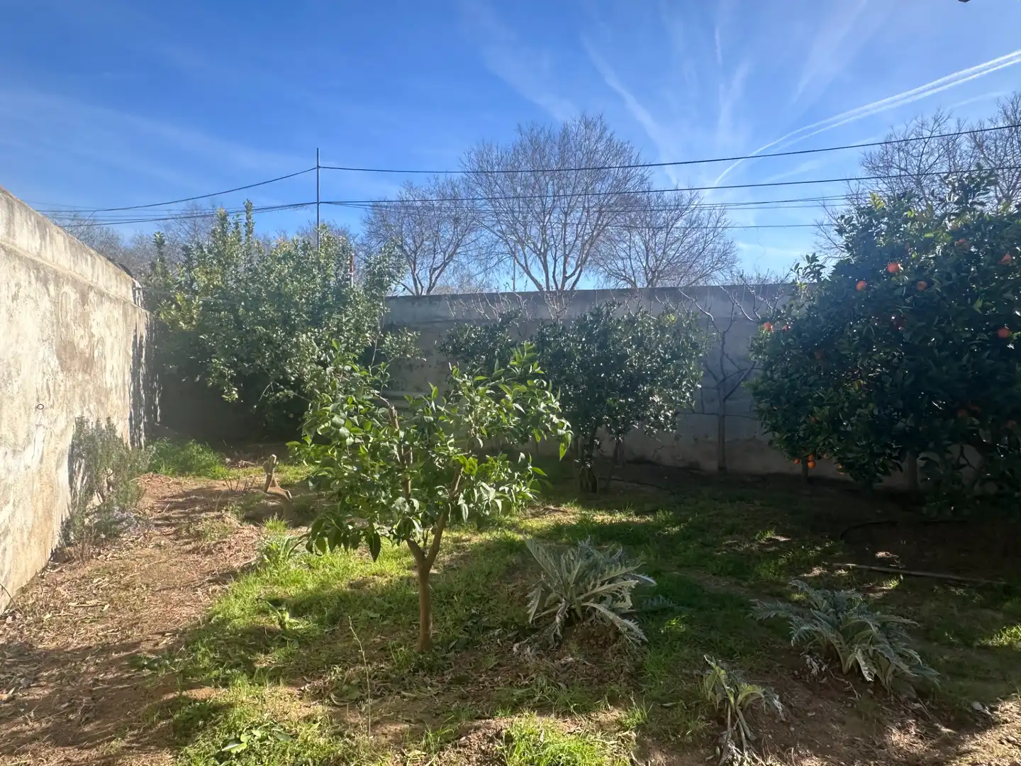 Casa o xalet en venda en Santa Margarida I Els Monjos amb Calefacció, Jardí privat i Terrassa