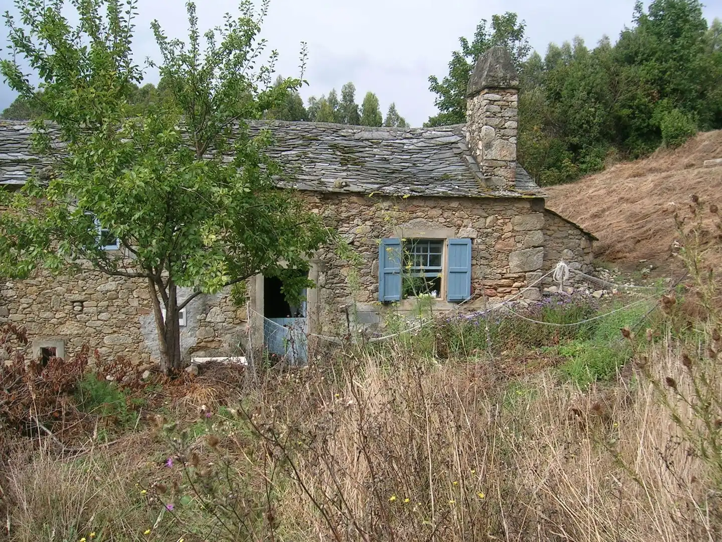 Exterior view of Country homes for sale in O Vicedo 