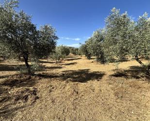 Grundstücke zum verkauf in Villanueva del Trabuco