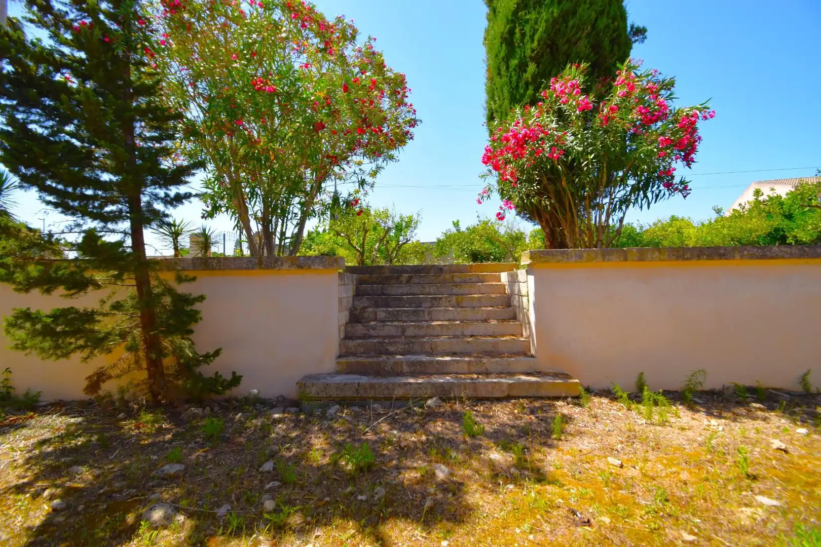 Casa amb jardí en venda a Santa Margalida Poble, imagen 6