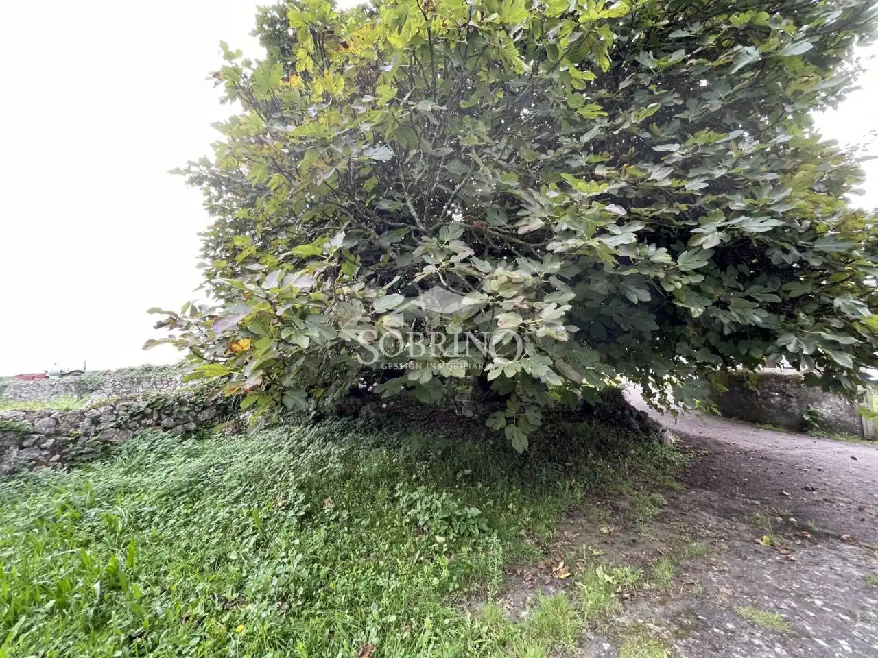 Haus mit Garten zum Verkauf in Calle La Cábila 3, imagen 29