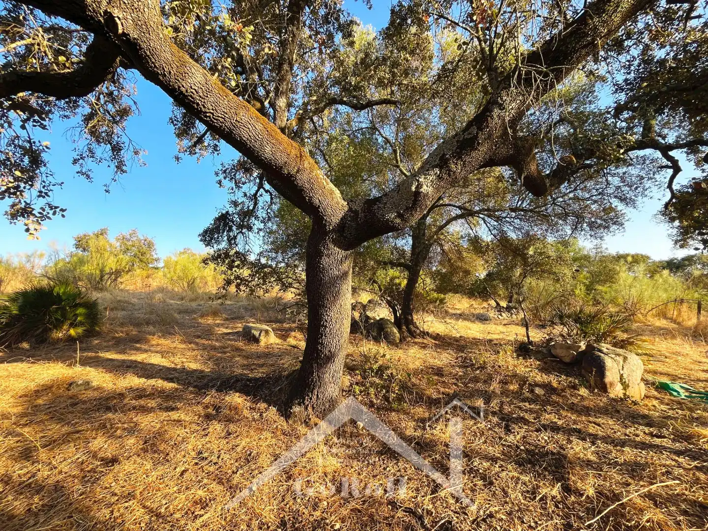 Terreno en venta en Guillena