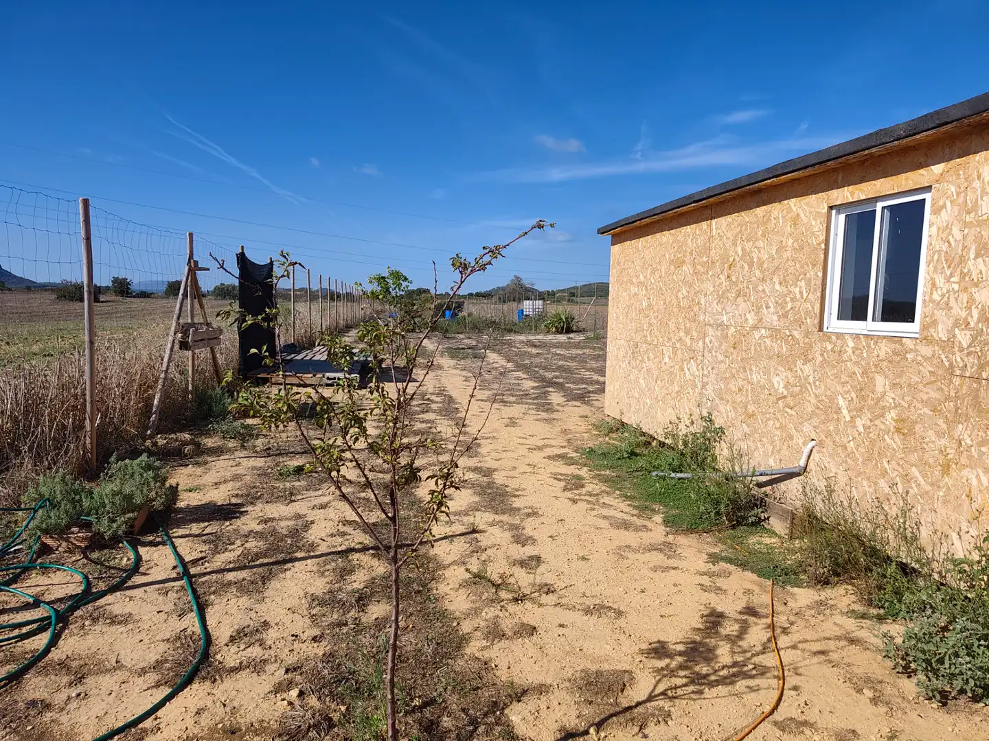 Rural land for sale in Sineu, imagen 3
