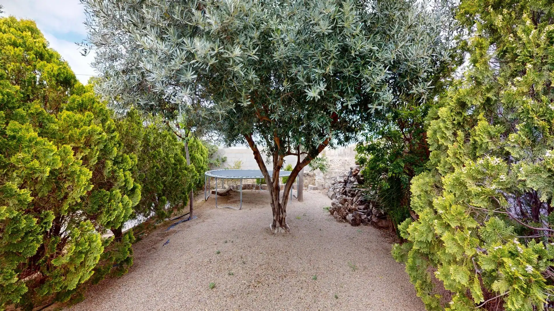 Jardín de Casa o chalet en venta en Murcia