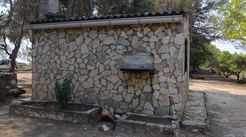 Imatge 2 de l'anunci