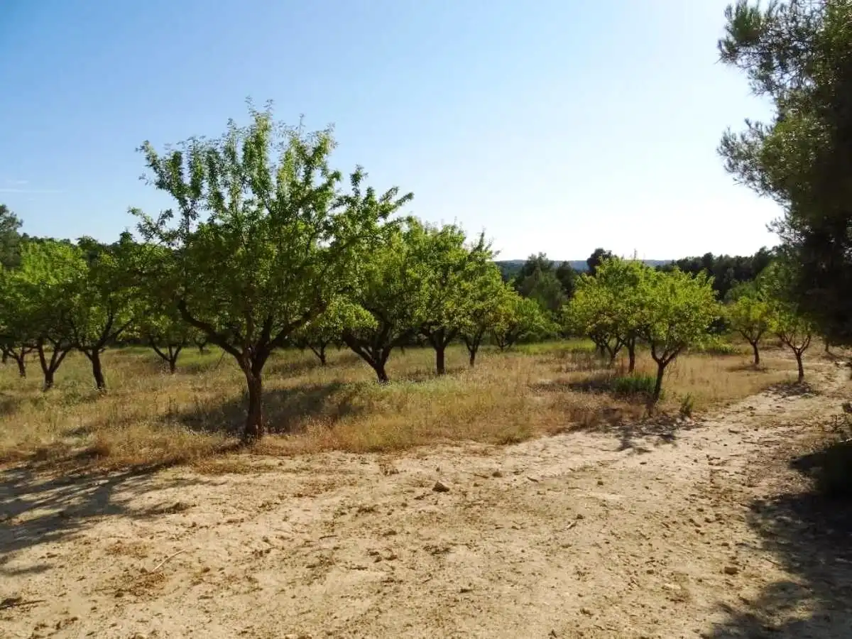 Landhaus zum Verkauf in Horta de Sant Joan, imagen 14