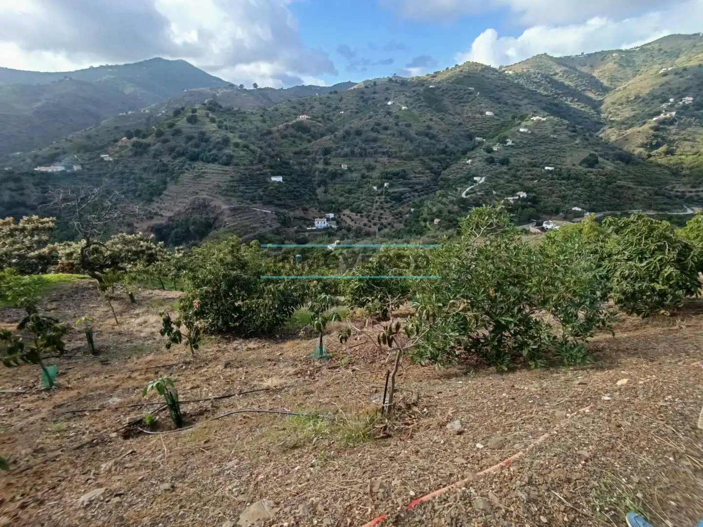 Terreny rústic en venda a Sayalonga, imagen 7