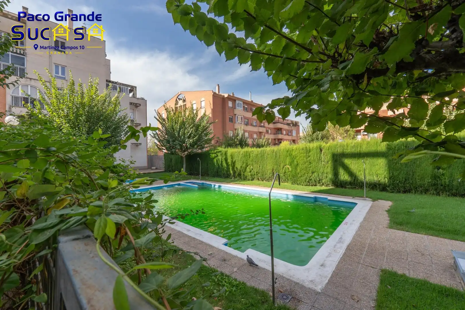 Piso con piscina en venta en Calle Calle María de Maeztu 21, imagen 53