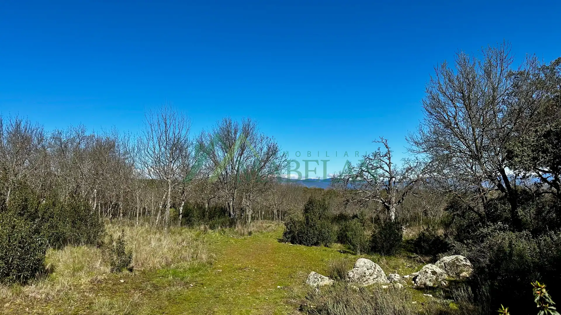 Casa rústica con jardín en venta en Pino Alto - Navarredonda, imagen 32