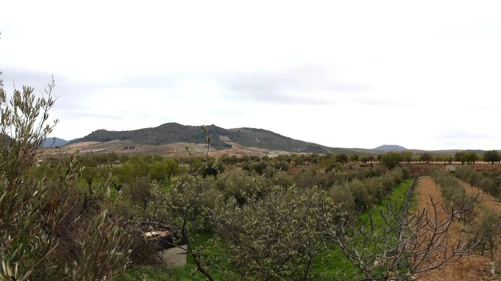 House for sale in Oria, imagen 27