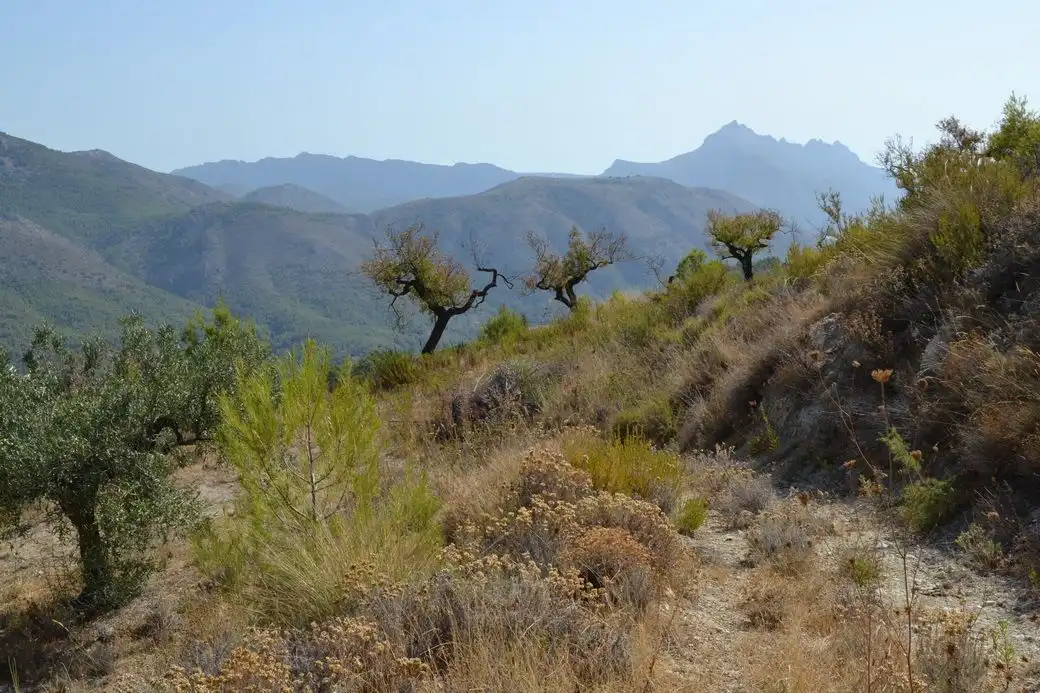 Terrenos y solares en venta en El Castell de Guadalest, imagen 7