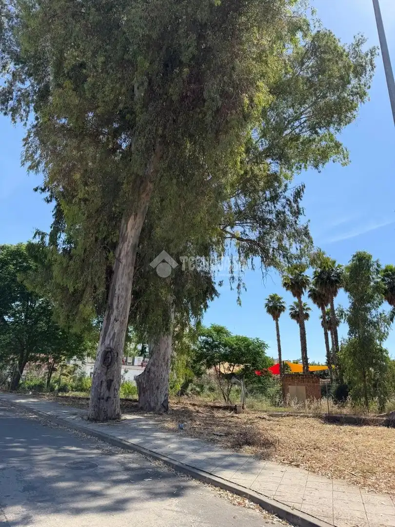 Terreni e lotti in vendita a La Zarzuela - San José - Belén, imagen 10