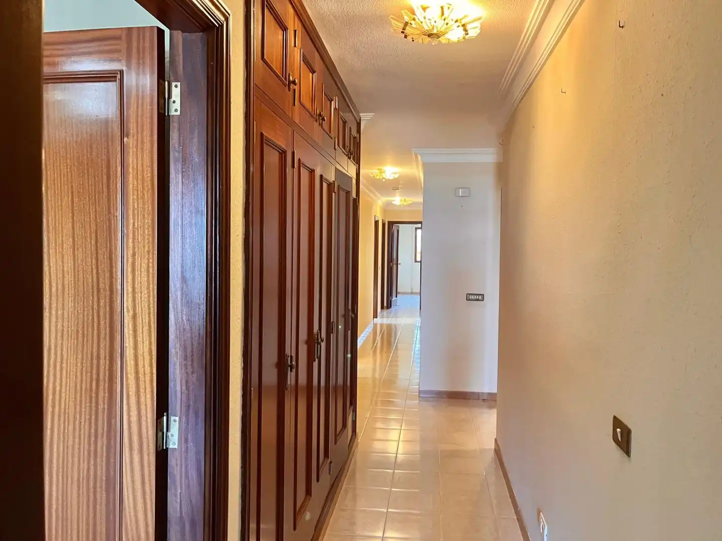 Wohnung mit Terrasse zum Verkauf in Calle Calle Elías Ramos González, imagen 18
