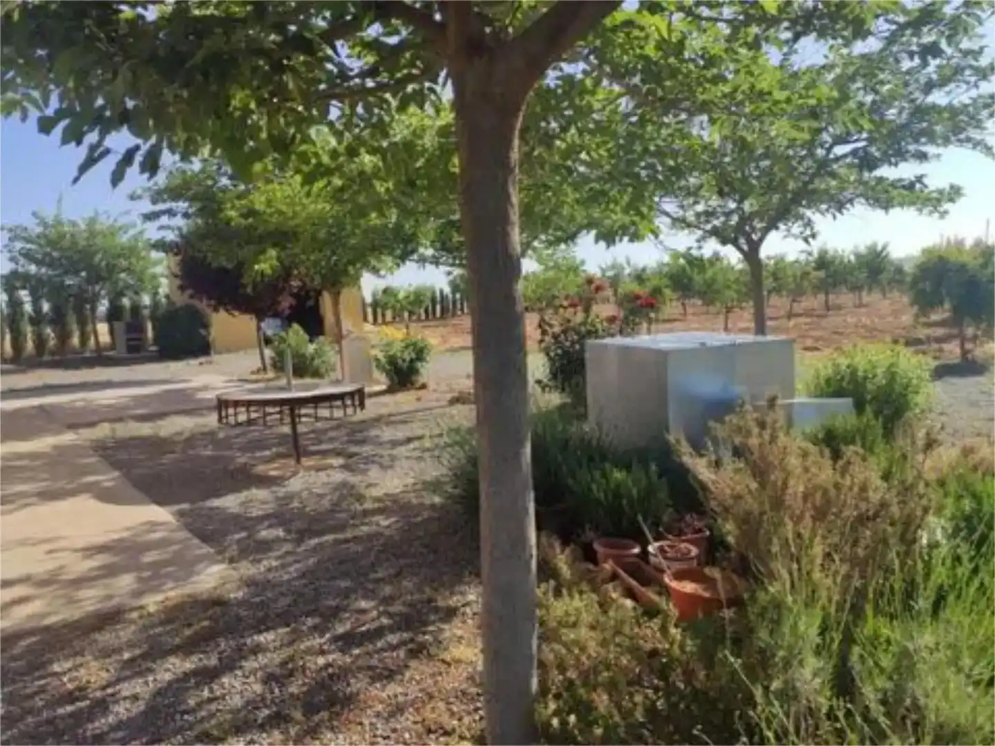 Jardí de Finca rústica en venda en Consuegra amb Jardí privat i Moblat