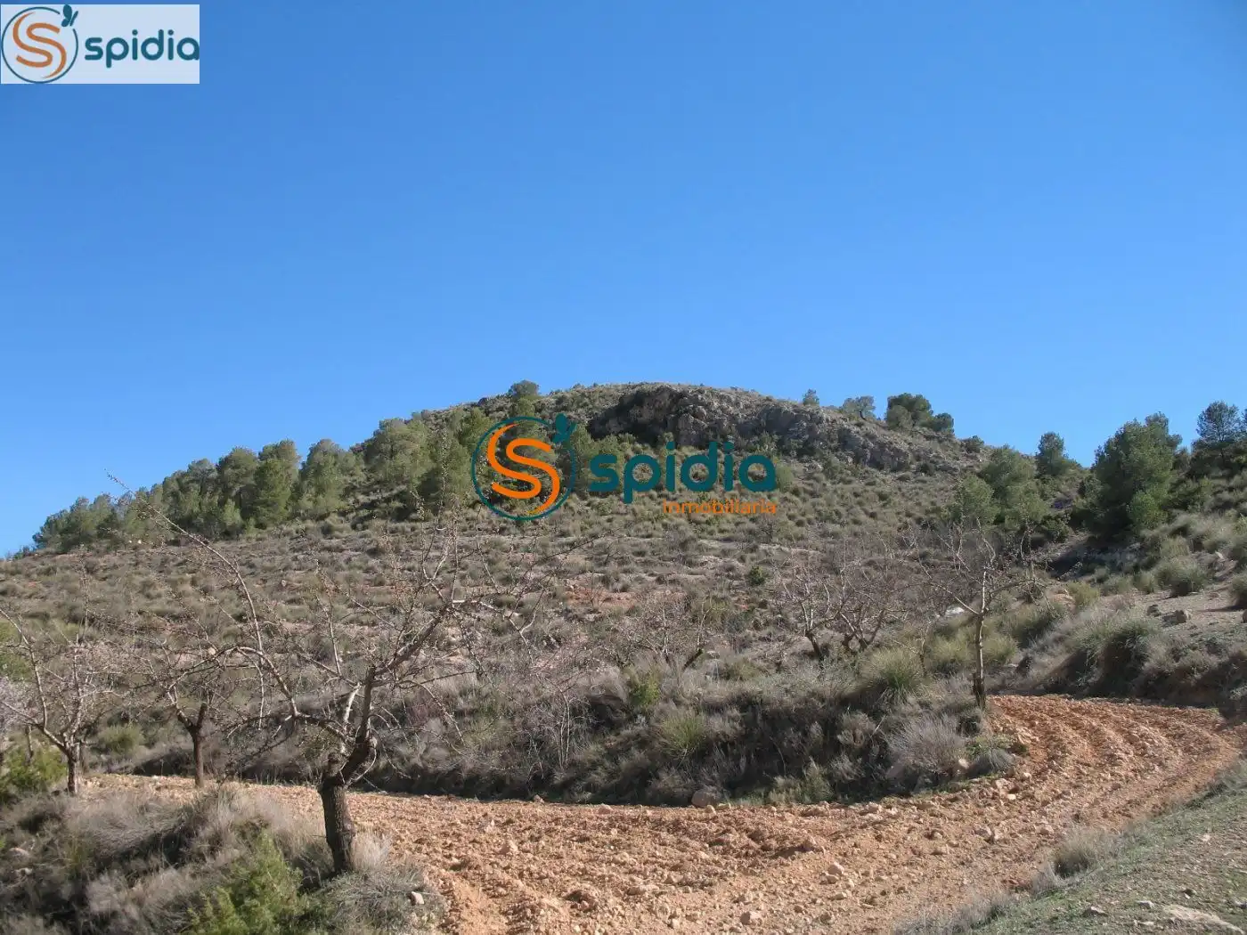 Residential land for sale in Pedanías Norte, imagen 7