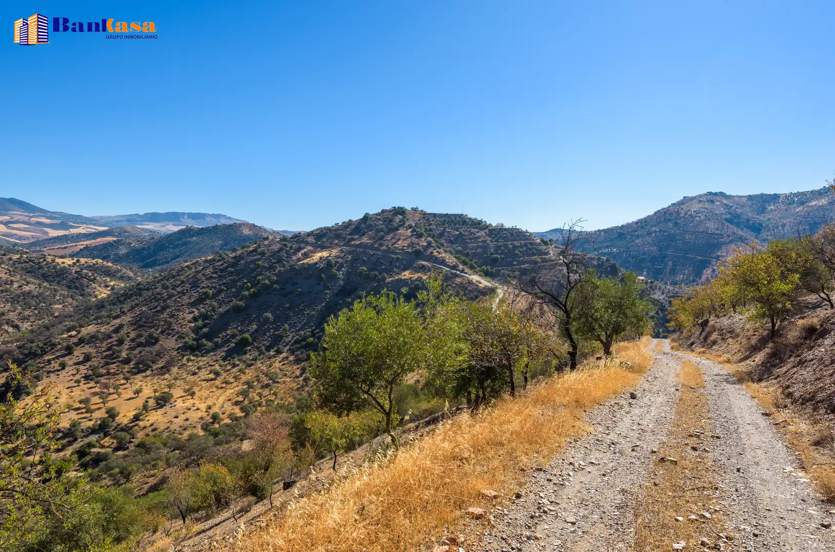 Vista exterior de Finca rústica en venta en Álora con Jardín privado y Trastero
