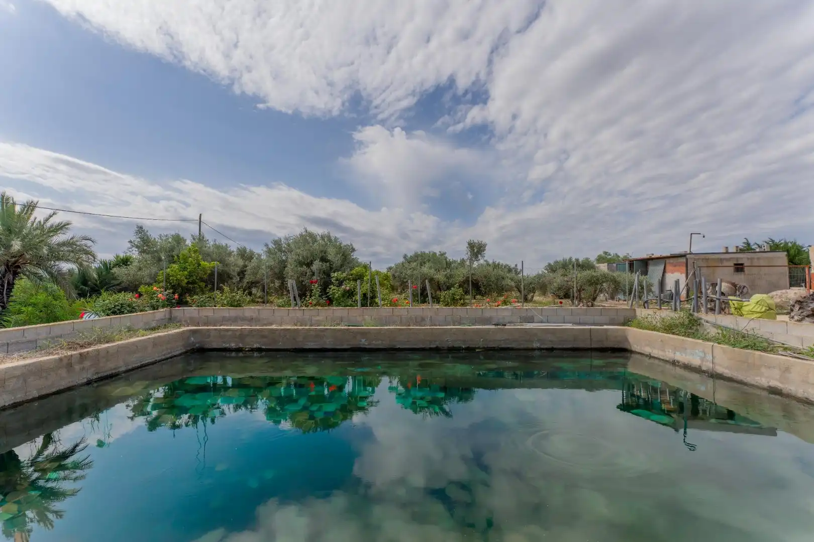 Piscina de Casa o xalet en venda en Crevillent amb Piscina