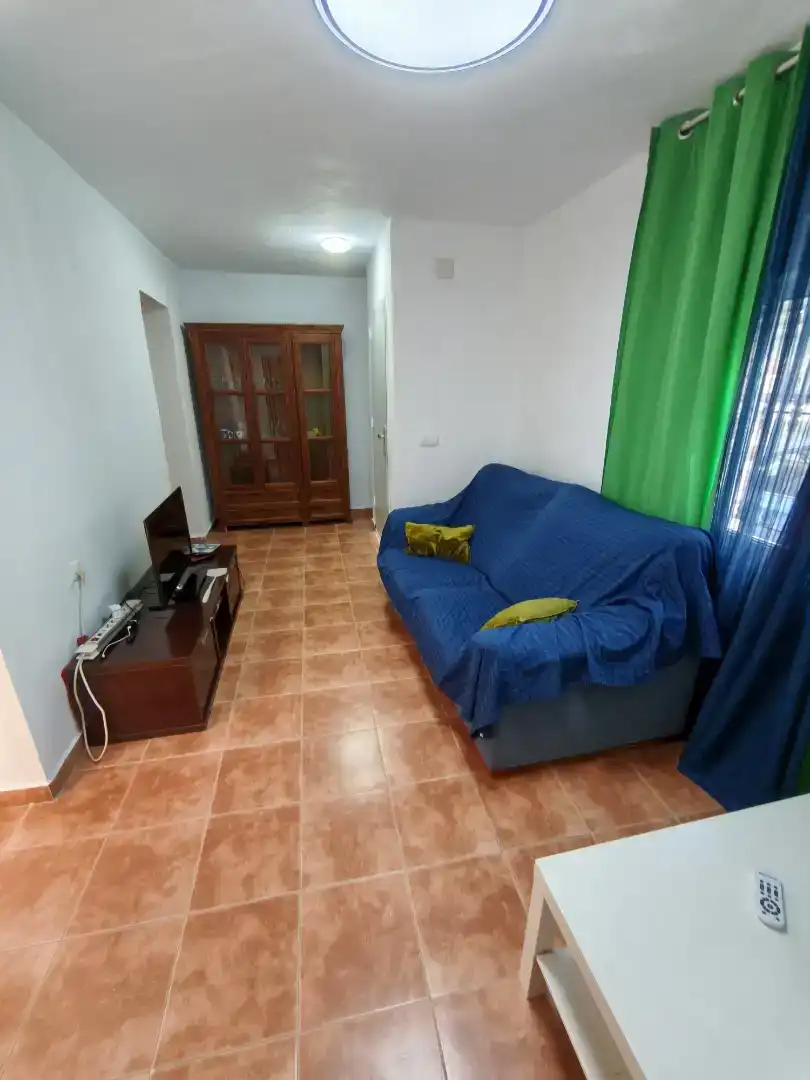 Living room of Houses for rent in Algeciras  with Private garden, Furnished and Balcony