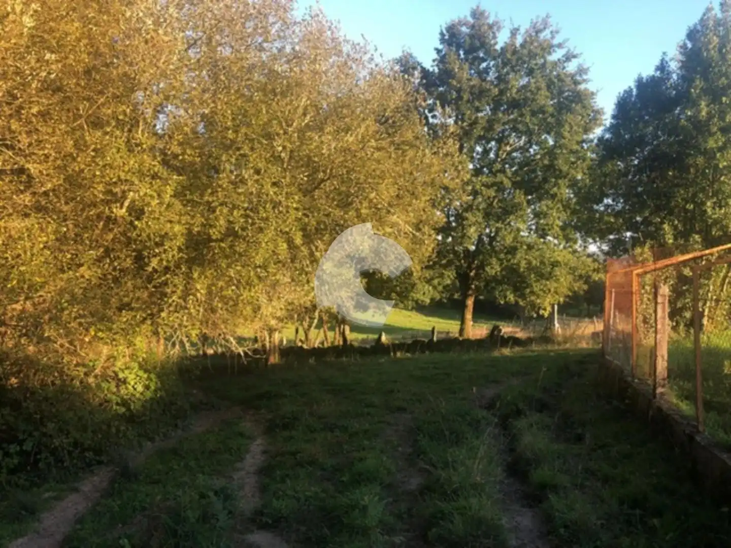Terreni e lotti in vendita a Nogueira de Ramuín, imagen 35