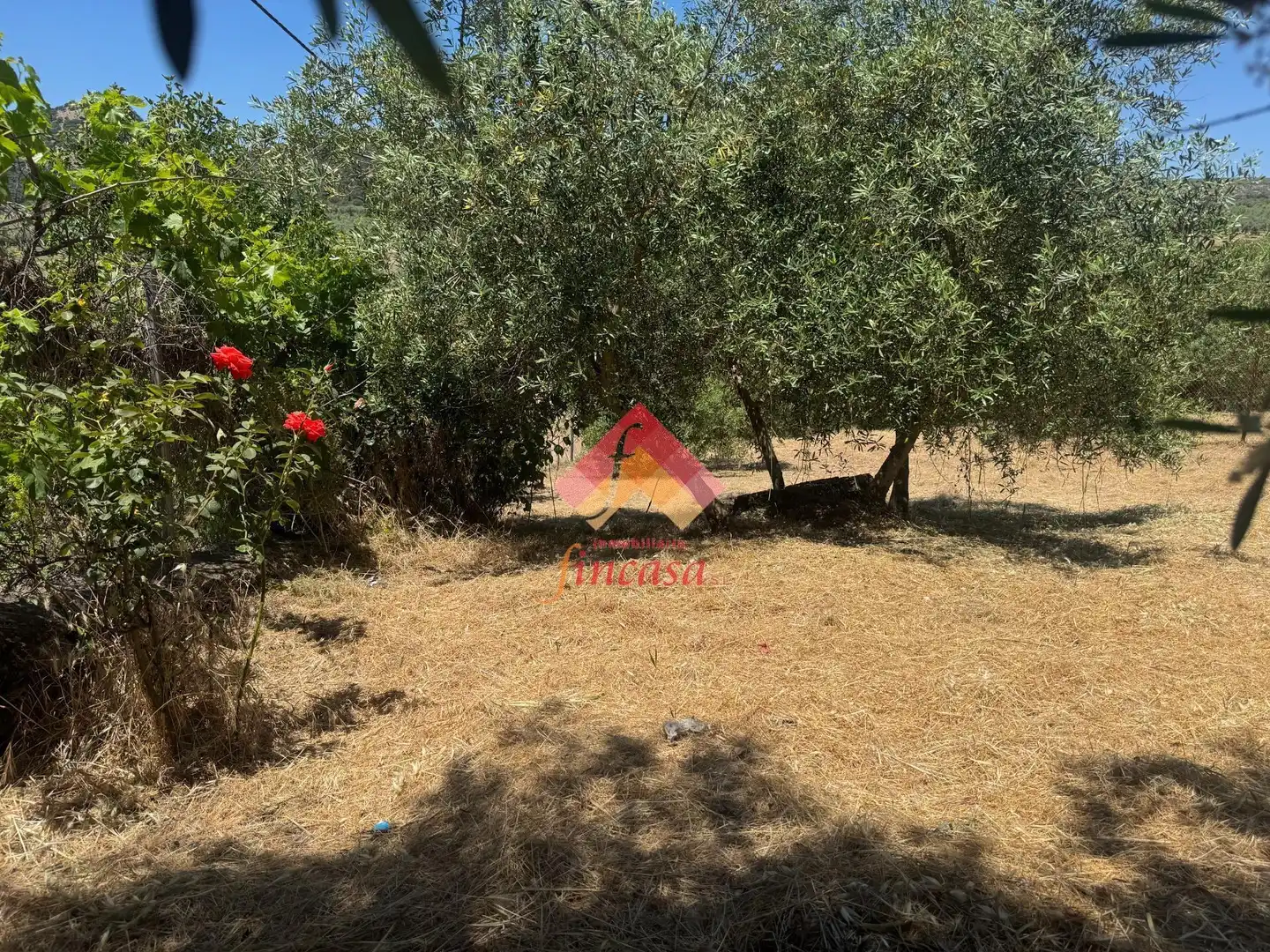 Finca rústica en venta en Arriate con Calefacción y Jardín privado