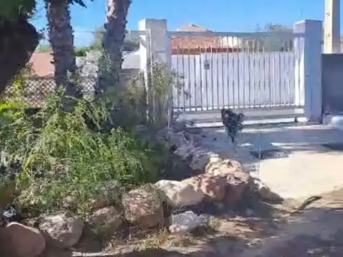Haus oder Chalet zur Miete in La Pobla de Vallbona, Valencia