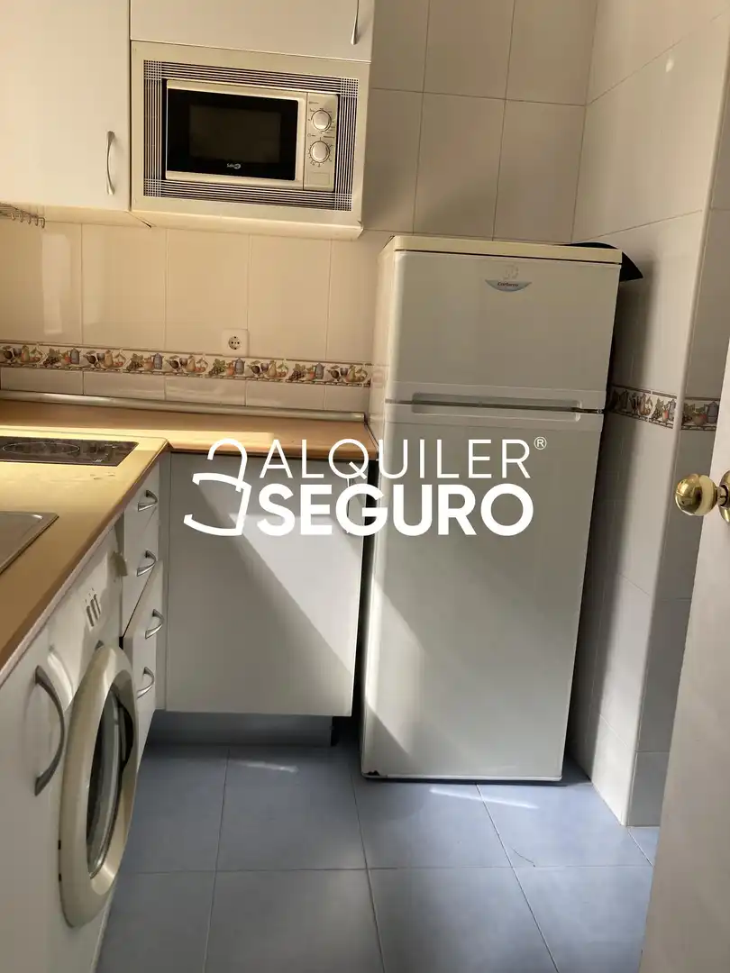 Piso de alquiler en del Olivar, Embajadores - Lavapiés