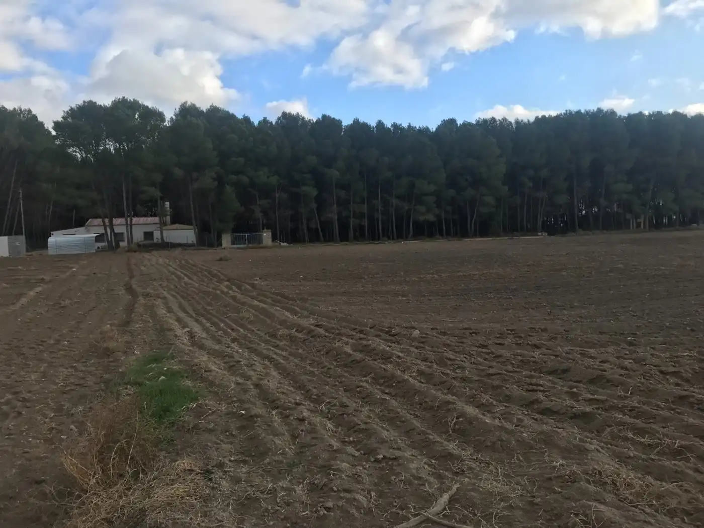 Grundstücke zum Verkauf in Villena