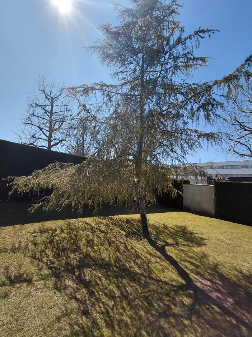 Garden of Flat for sale in Oleiros  with Heating, Private garden and Parquet flooring