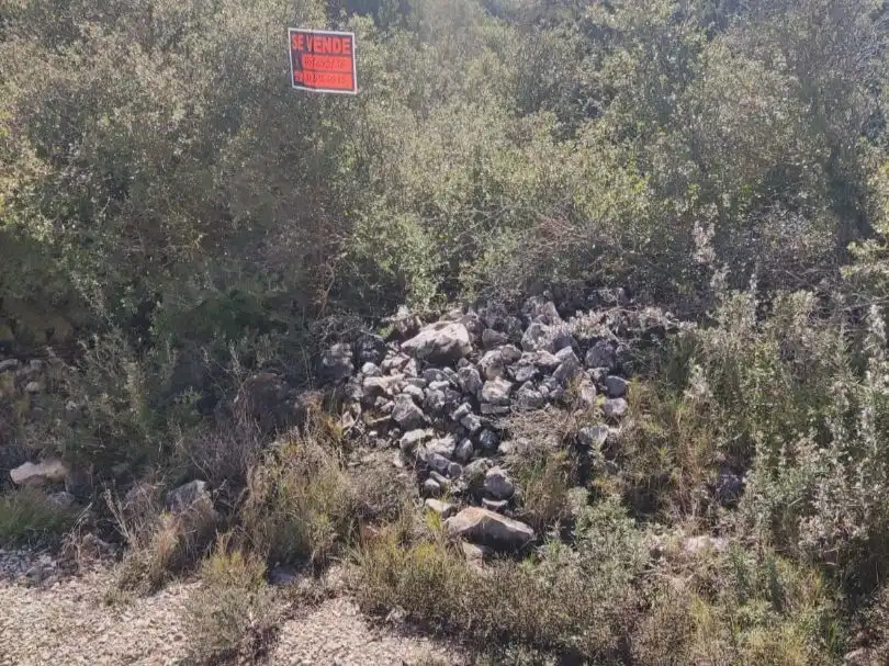 Terreno residenziale in vendita a Buenavista 1079, imagen 5