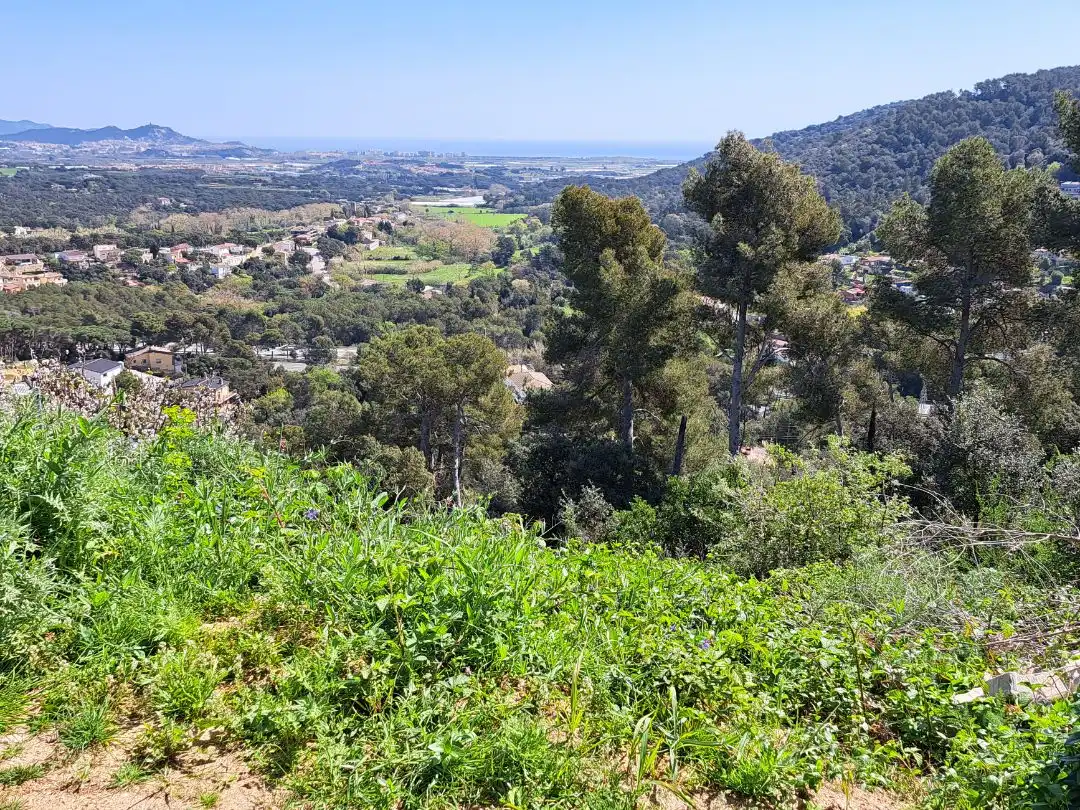 Terreno residencial en venta en Cedres 1027