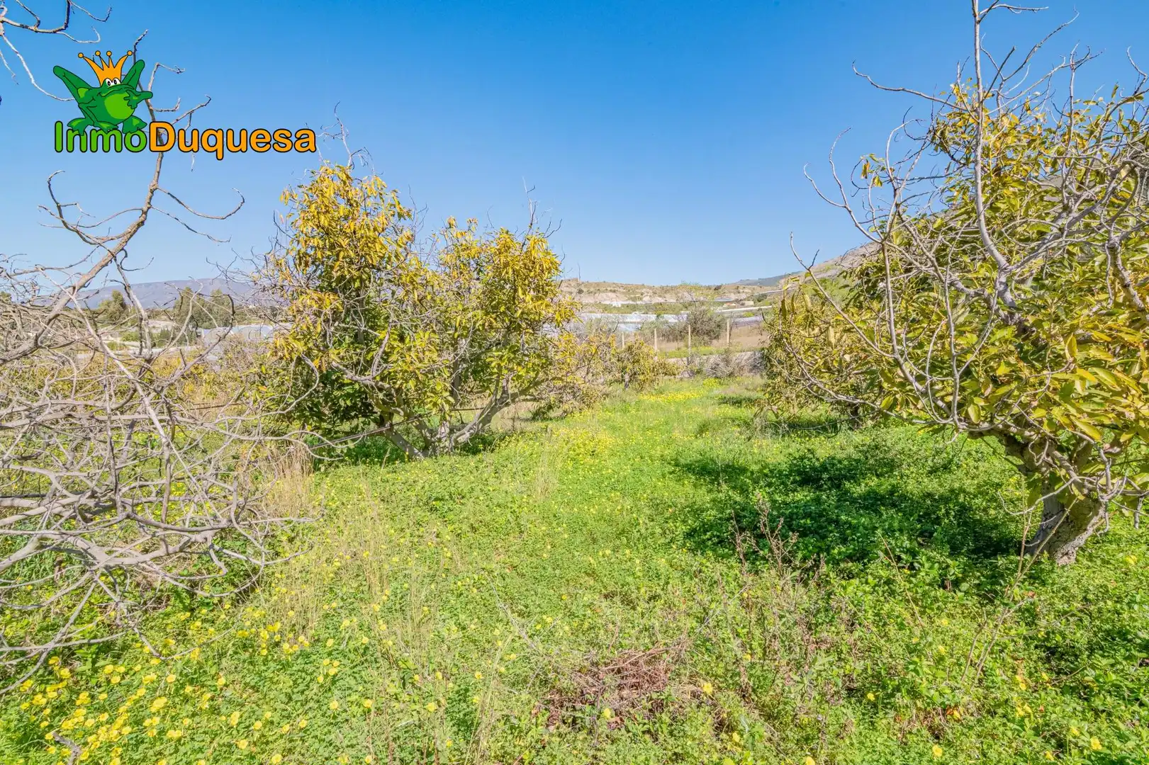 Detached house with pool for sale in Los Tablones - La Garnatilla, imagen 63