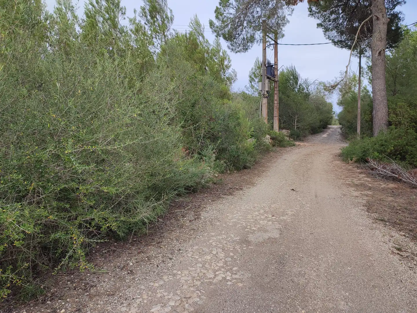 Terrain rustique à vendre à Sant Joan