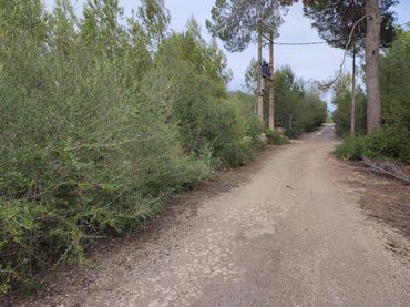 Terrain rustique à vendre à Sant Joan