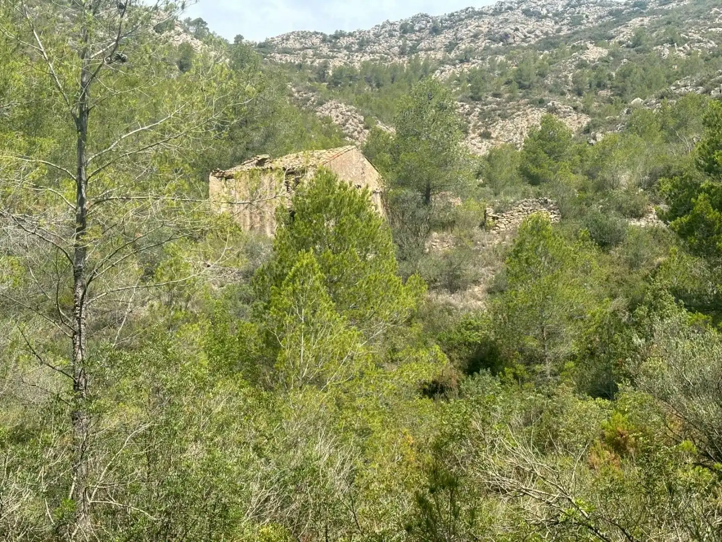 Terreno en venta en Tivissa