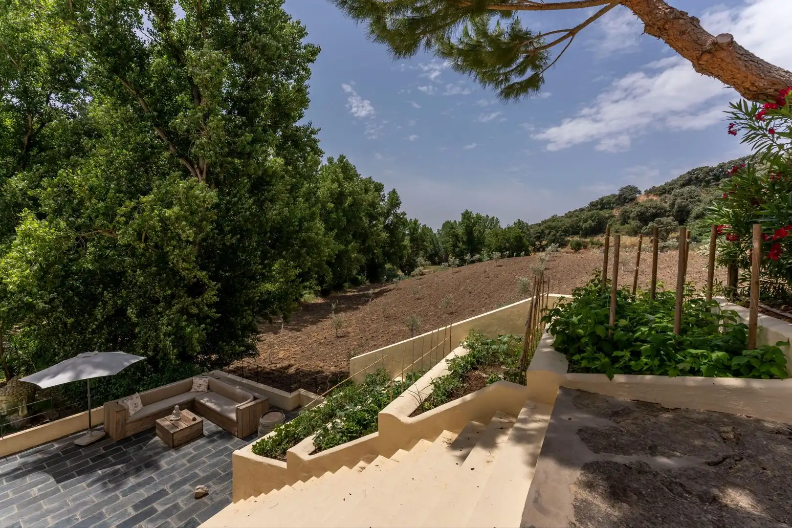 Casa rústica amb piscina en venda a Setenil de las Bodegas, imagen 74
