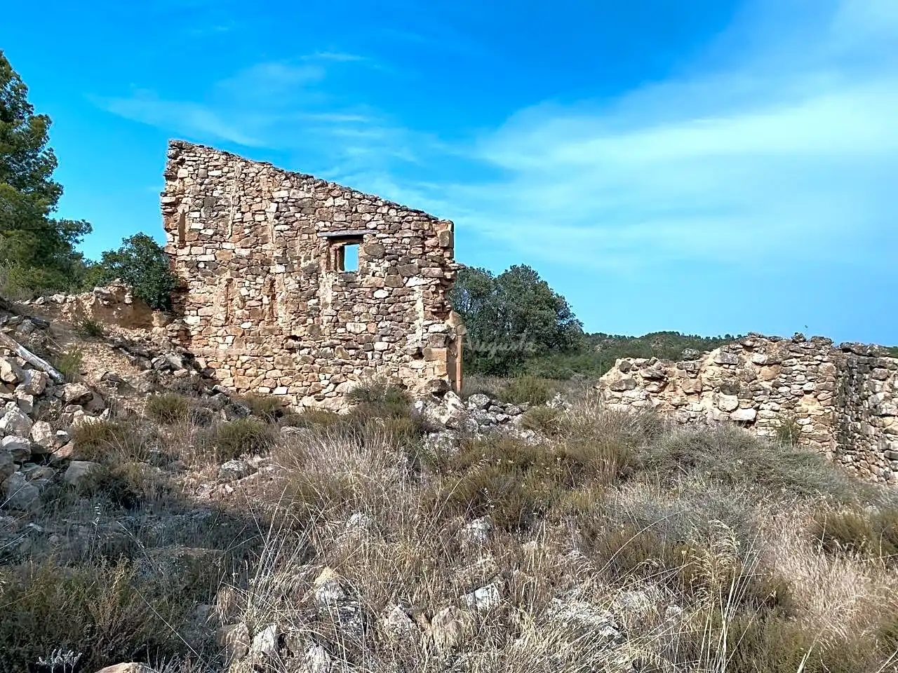 Terrain rustique à vendre à Partida Castellons, imagen 43