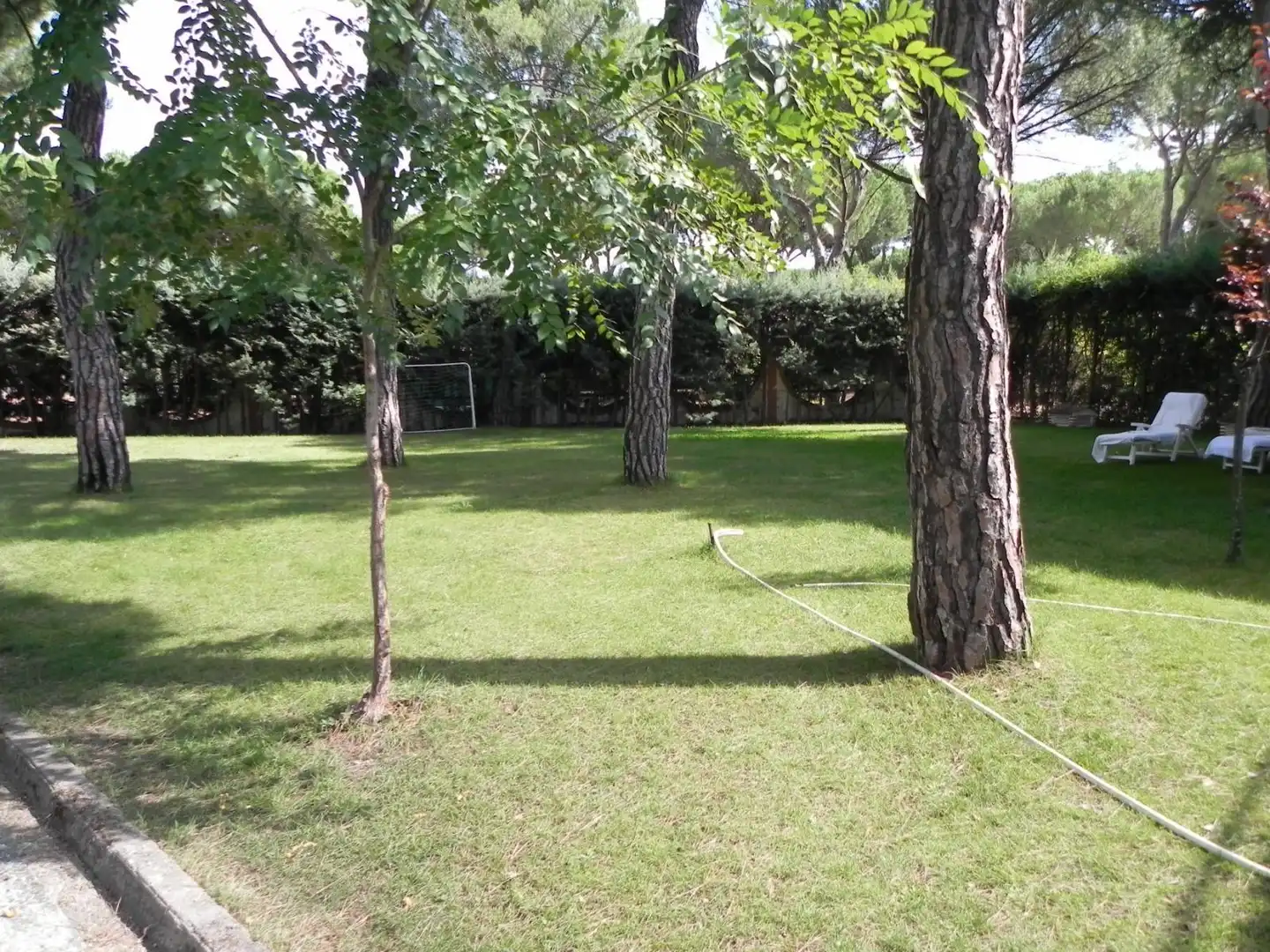 Jardín de Casa o chalet en venta en Tordesillas con Jardín privado y Terraza