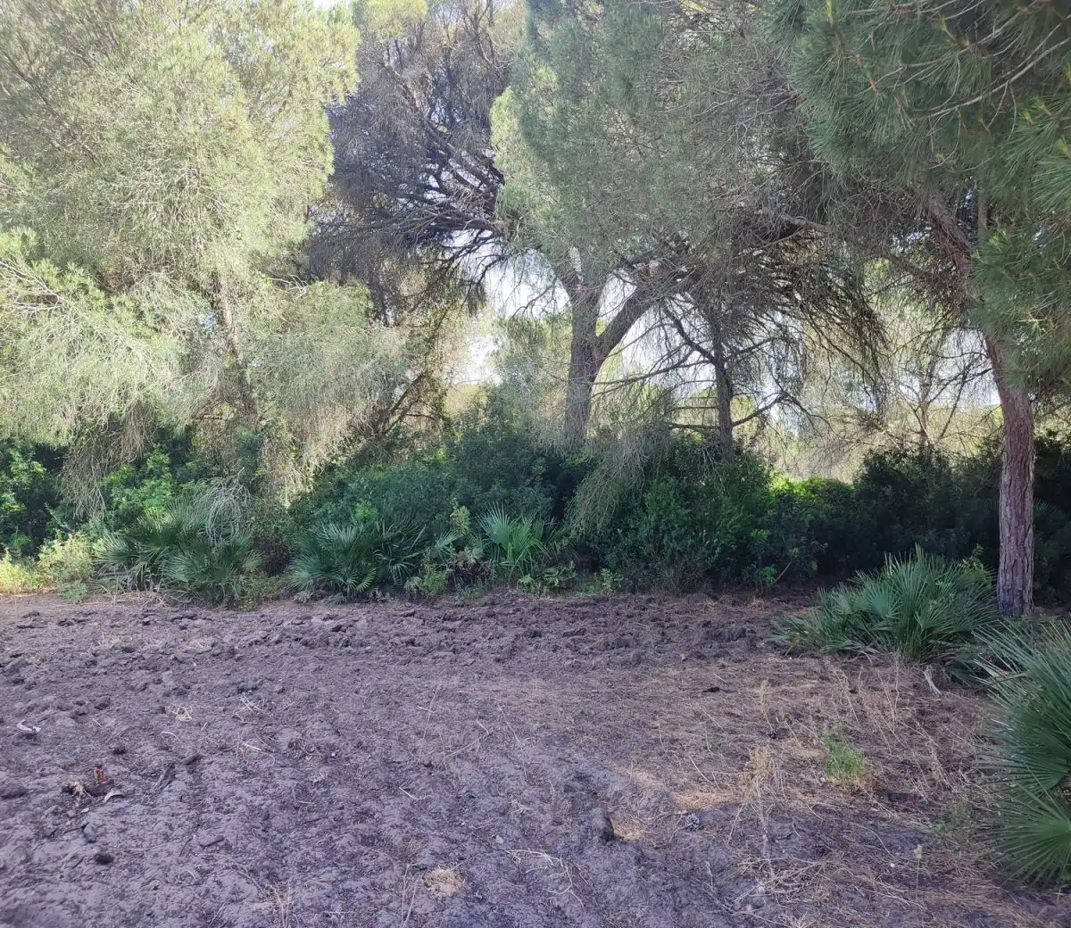 Terrenys i solars en venda a Roche, imagen 7