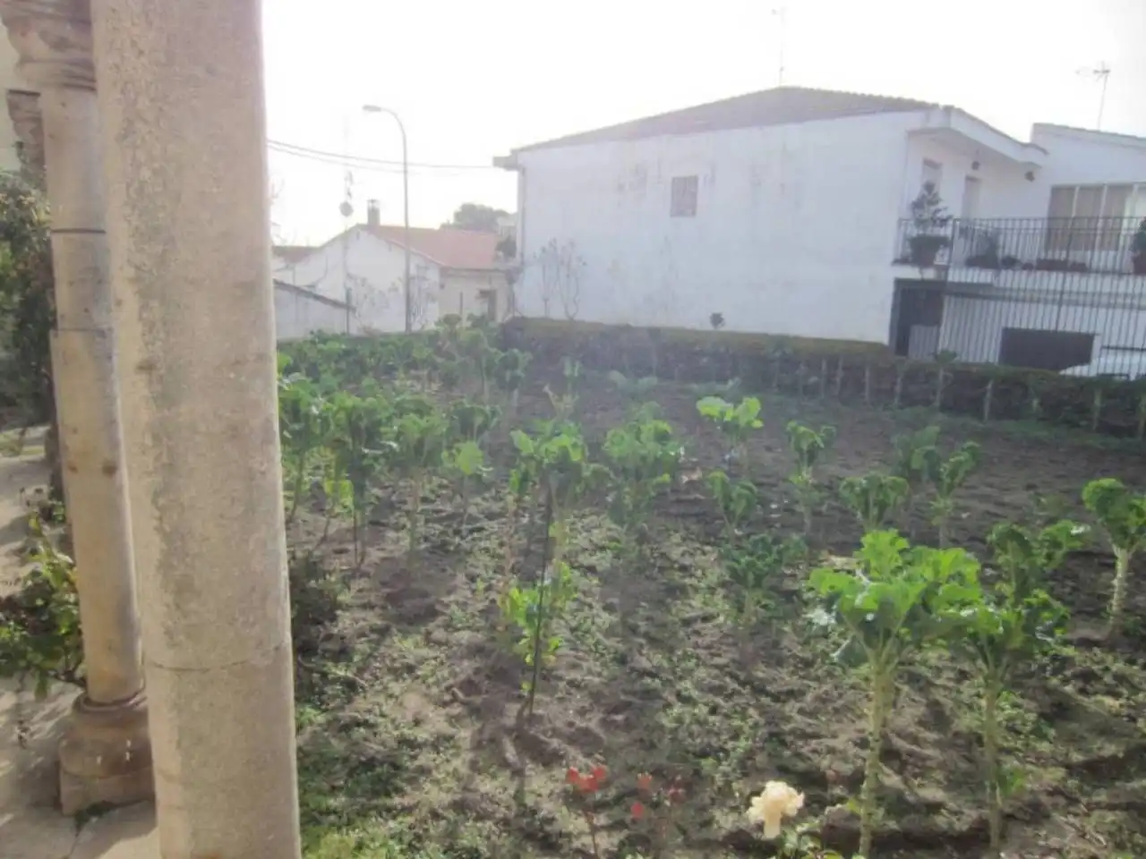 Casa o xalet en venda en Fuentes de Oñoro amb Terrassa i Moblat