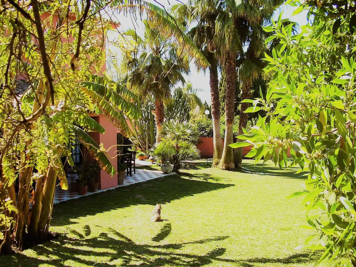 Haus mit Pool zum Verkauf in San Pedro de Alcántara, imagen 21