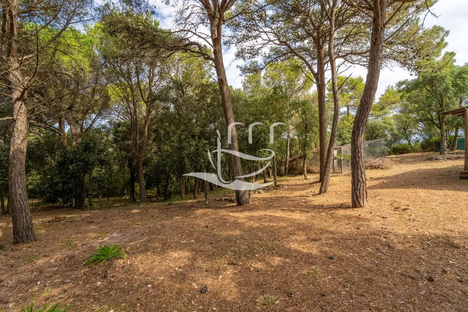 Villa in vendita a Carles Riba, imagen 44