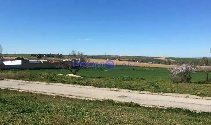 Terrenos y solares en venta en Lirio, imagen 6