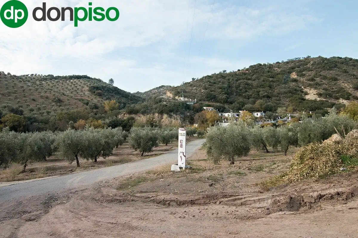Casa rústica en venda a CORTIJO LA BARRAGANA, imagen 22