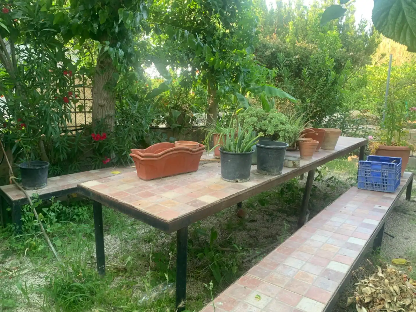 Finca rústica en venda a Alquerías