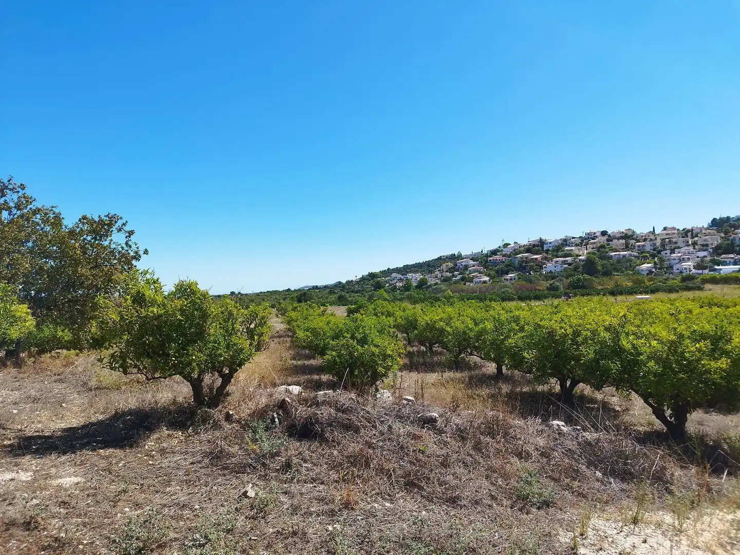Terrenos y solares en venta en Orba, imagen 6