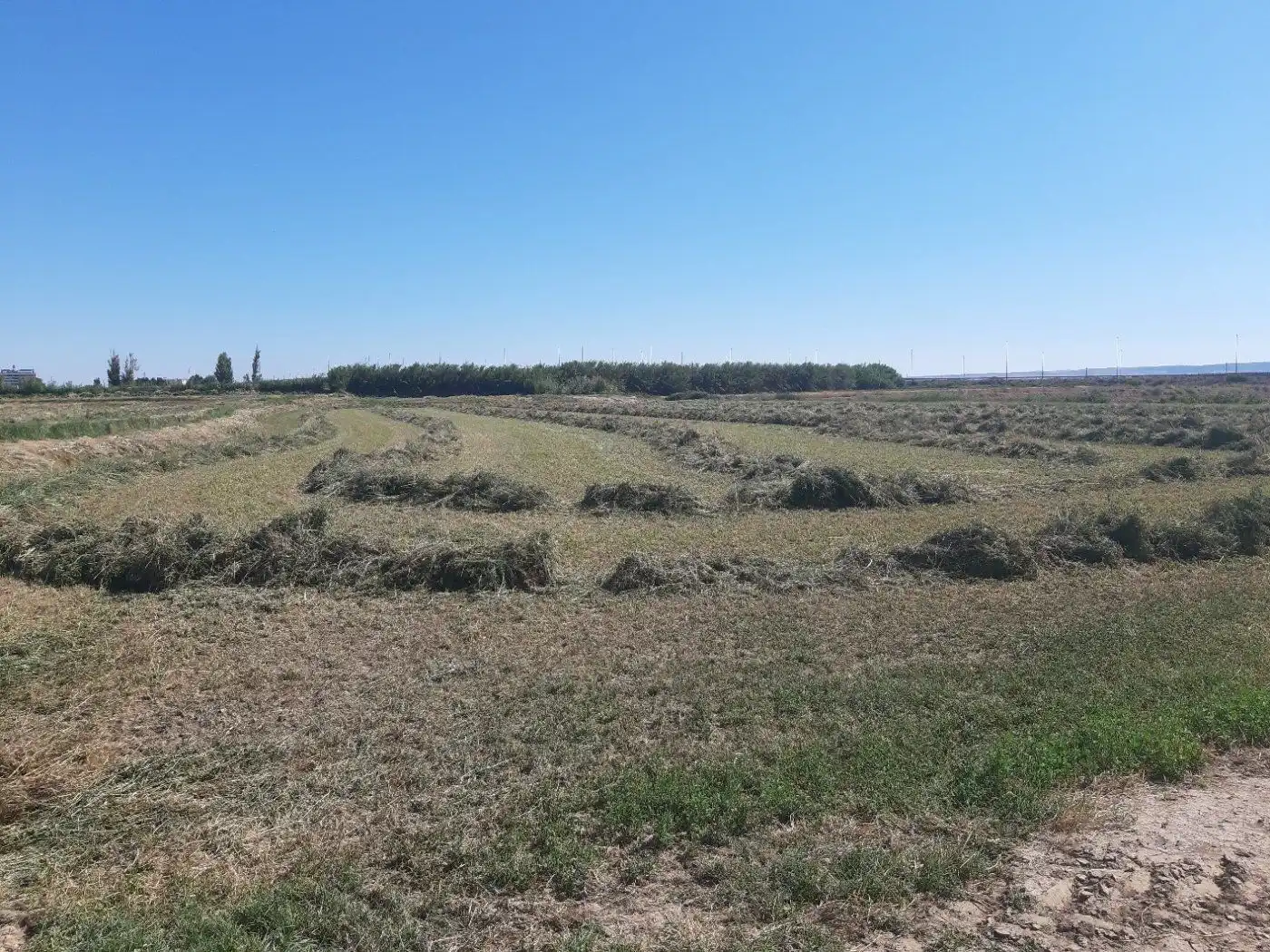 Grundstücke zum Verkauf in Zaragoza