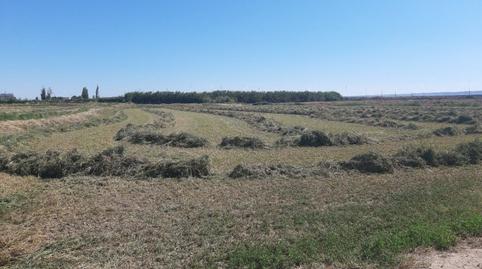 Photo 4 of Land for sale in San Gregorio, Zaragoza